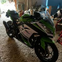 Ninja 300