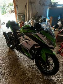 Ninja 300