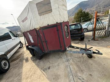 Trasporto cavalli trailer