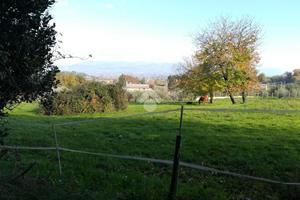 TER. AGRICOLO A MONTE COMPATRI