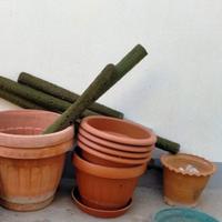 Damigiane/Vasi/Sottovasi