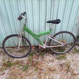 bici vintage e montanbike
