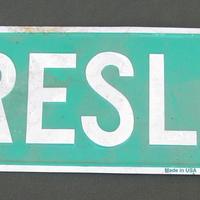 ELVIS PRESLEY metallo vintage