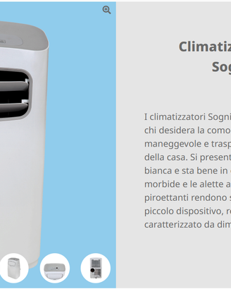 Climatizzatore portatile, pinguino, Sognidoro 12E