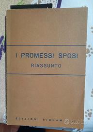 riassunto dei promessi sposi