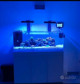 Aquario Amtra 1,20 cm x50x50