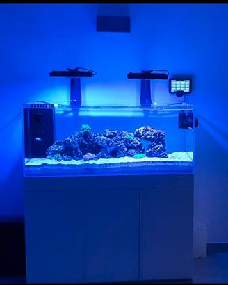 Aquario Amtra 1,20 cm x50x50