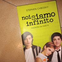Romanzo "Noi siamo infinito."