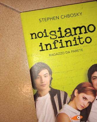 Romanzo "Noi siamo infinito."