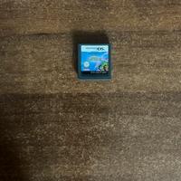 Schedina DS Deep Labyrinth