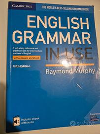 English grammar in use