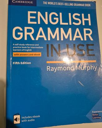 English grammar in use