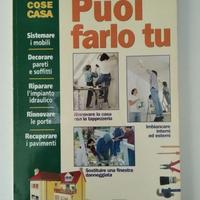 Manuale su riparazioni di casa: Puoi Farlo Tu