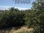 Immagine 29