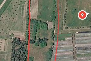 terreno agricolo 8000 mq 