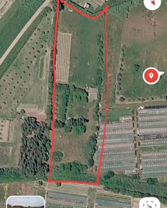 terreno agricolo 8000 mq 