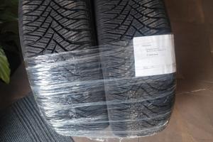 gomme omistagionali