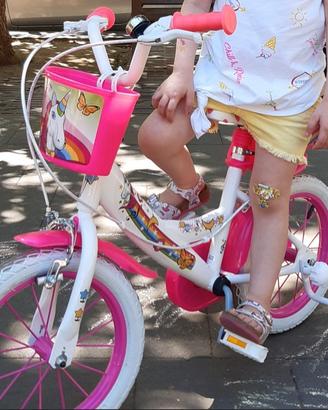 bicicletta