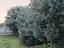 Immagine 5