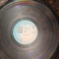 FRANCESCO GUCCINI RADICI