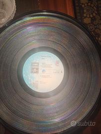 FRANCESCO GUCCINI RADICI