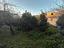 Immagine 24