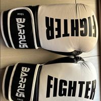 Guanti Boxe Barrus