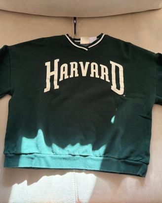 Felpa Pull&Bear verde scritta Harvard