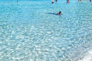 Casa vacanza Torre dell'orso