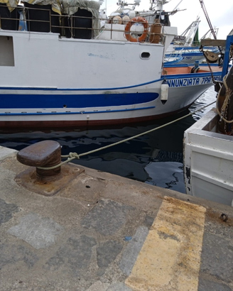 Barca da Pesca