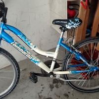 bici ruote 24 lombardo