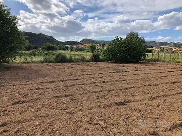 Terreno Edificabile a Siniscola