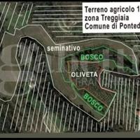Terreno Agricolo Pontedera [Cod. rif 3198155VRG]