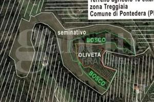 Terreno Agricolo Pontedera [Cod. rif 3198155VRG]