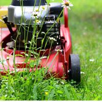 Taglio erba