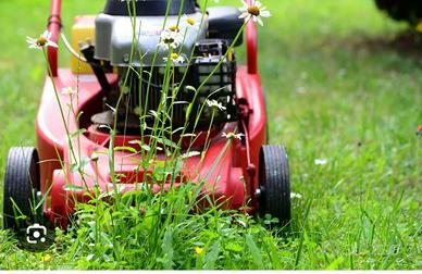 Taglio erba