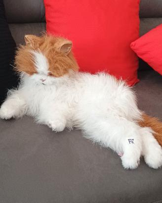 Gatto peluche che miagola 