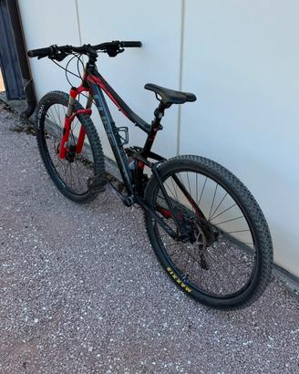 MTB Cube sting 29 all mountain