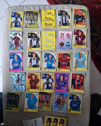 LOTTO DI FIGURINE PANINI 2024