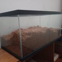 Terrario in vetro 60x30x30,5 [usato]