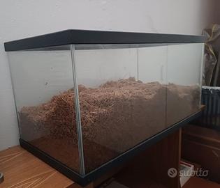 Terrario in vetro 60x30x30,5 [usato]