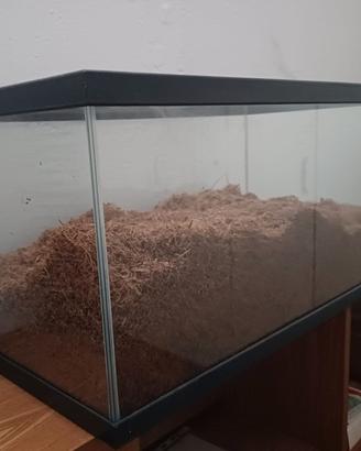 Terrario in vetro 60x30x30,5 [usato]