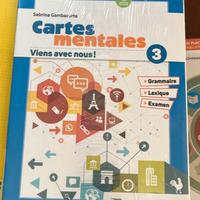 CARTES MENTALES 3