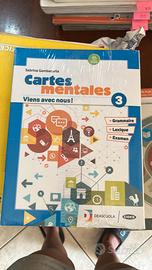 CARTES MENTALES 3