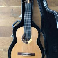 Chitarrra 10 corde da concerto