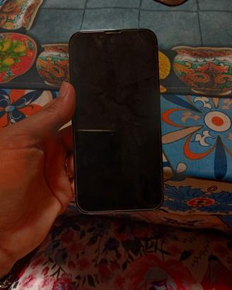 iPhone 13 Pro 
