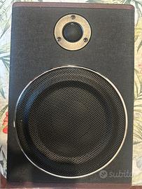 Soobwoofer amplificato