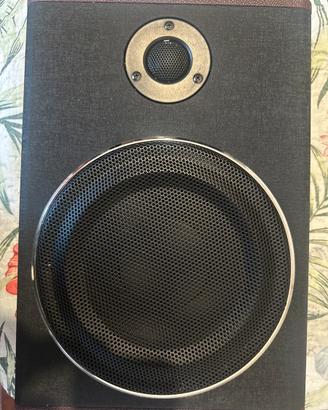 Soobwoofer amplificato