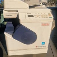 stampante toshiba
