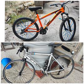 2 bici MTB e strada